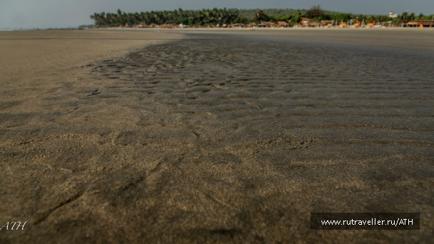 photo 1007204