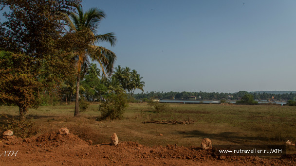 photo 1007409