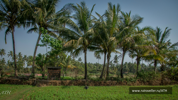 photo 1007578