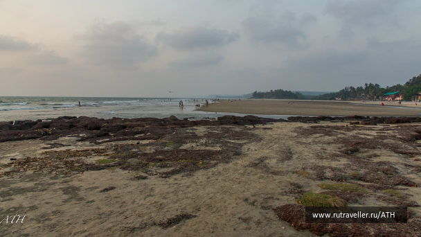 photo 1007585