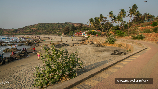photo 1007650