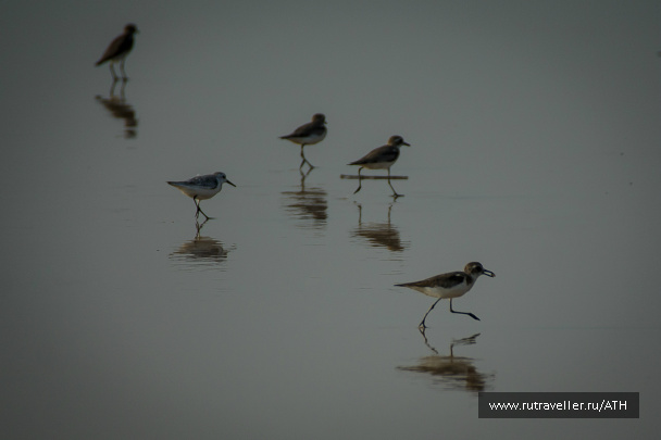 photo 313873