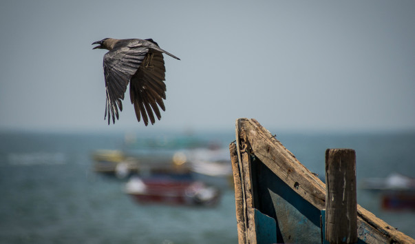 India