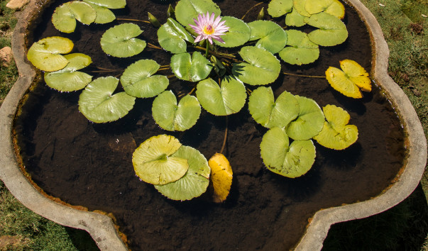 India