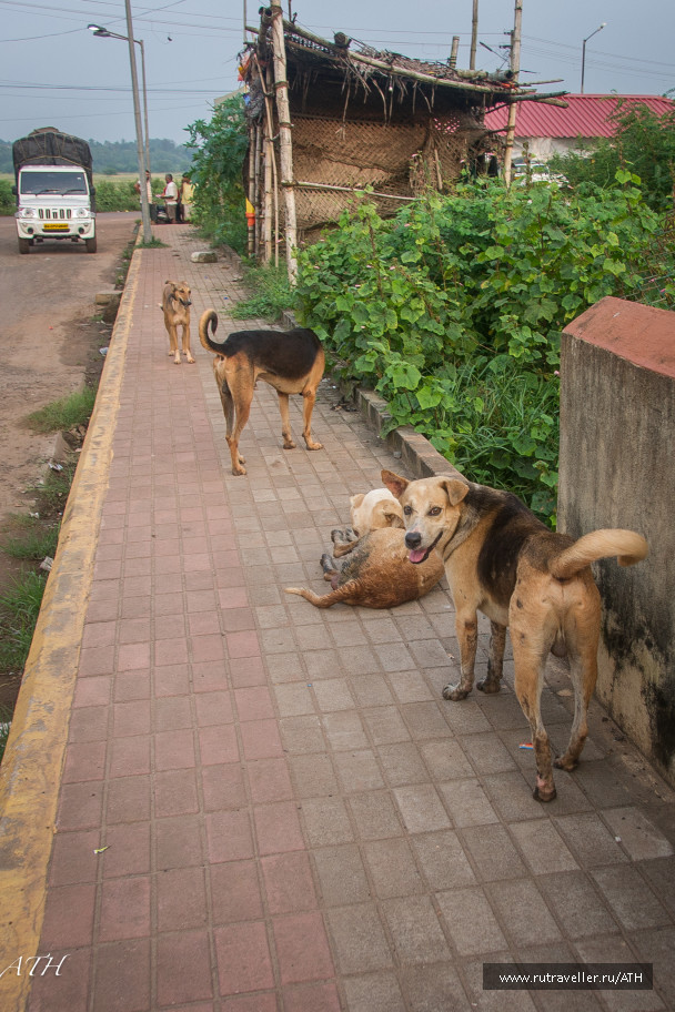 photo 1558151