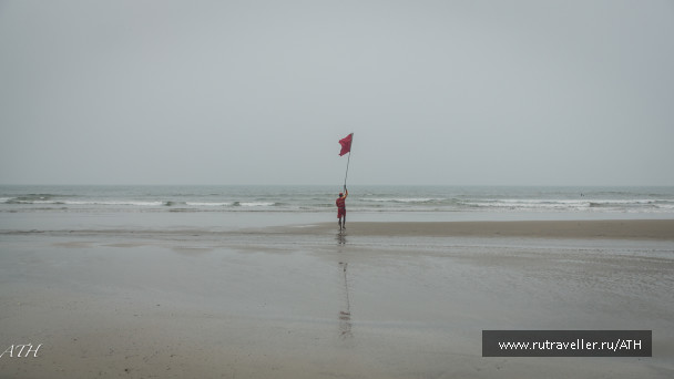 photo 1559485