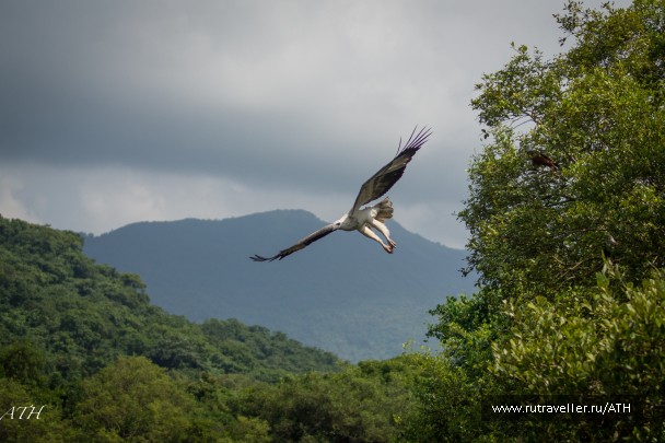 photo 1559734