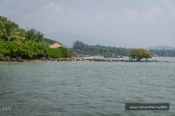 photo 1577754