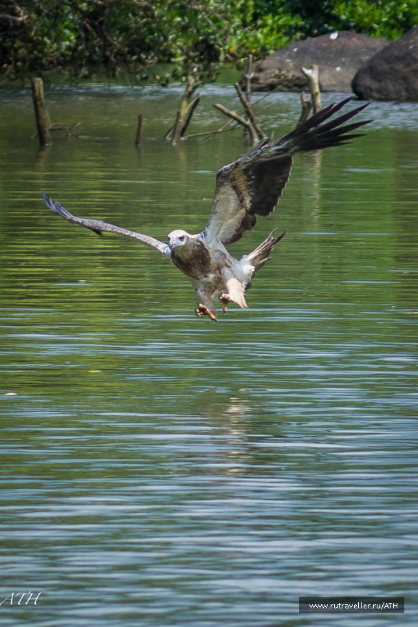 photo 1591740
