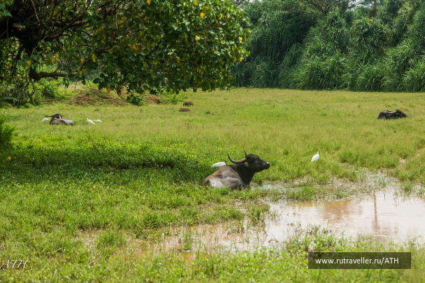 photo 1593712