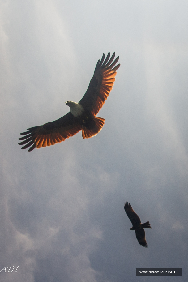 photo 1593713