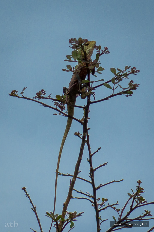 photo 1828193