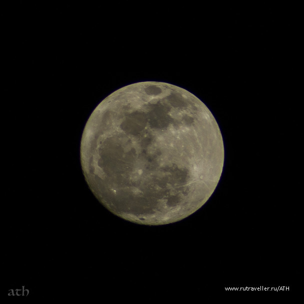 photo 1837565