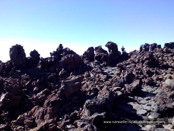 photo 765674