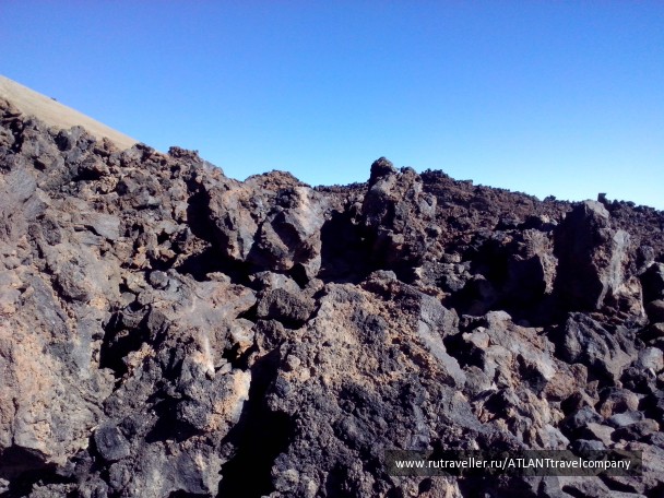 photo 765694