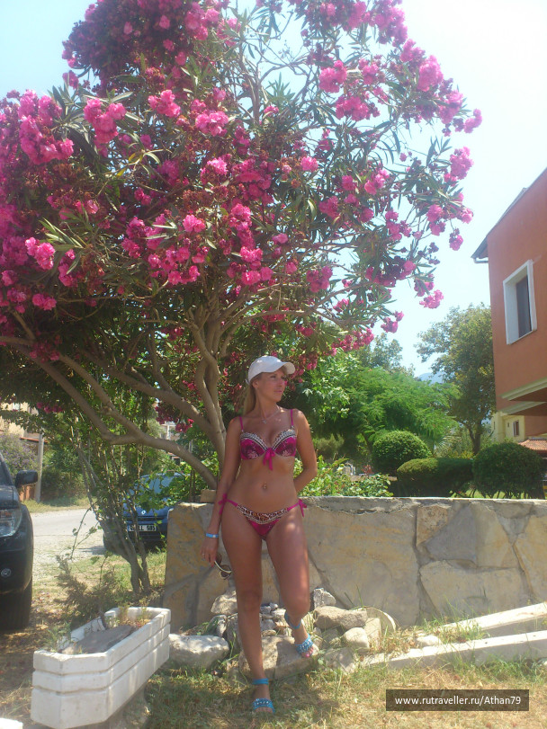 photo 442386