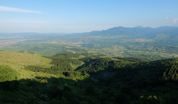 DSCF5152