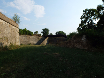 photo 1209968