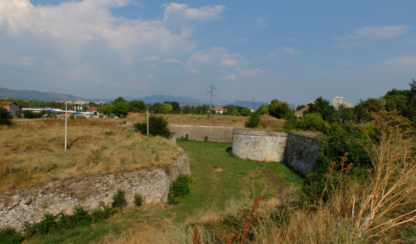DSCF6951
