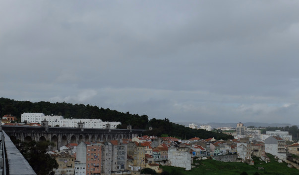 DSCF1268
