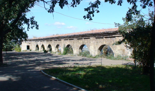 DSC08429