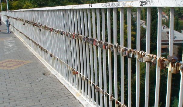 DSC08147