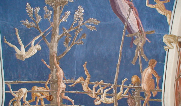 DSC00181
