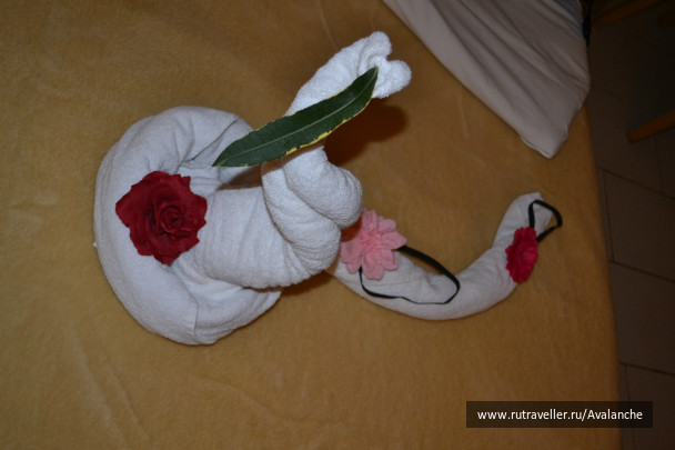 photo 83630