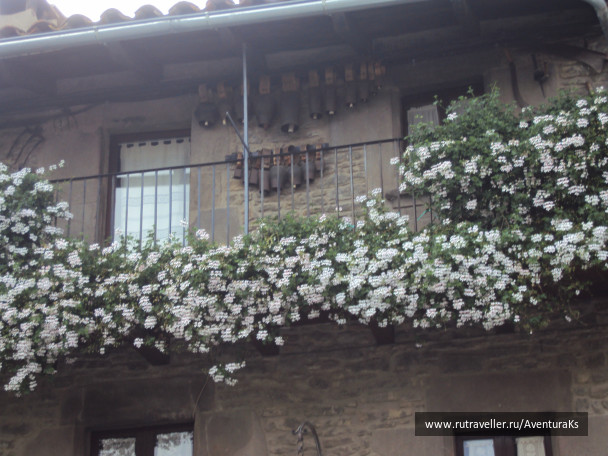 photo 231565