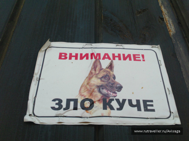 photo 163012