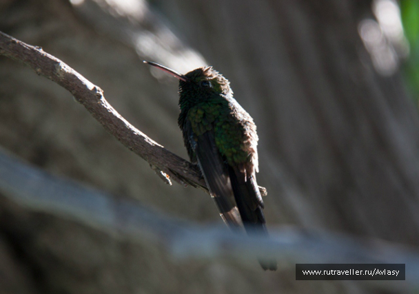 photo 644247