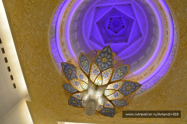 photo 886766