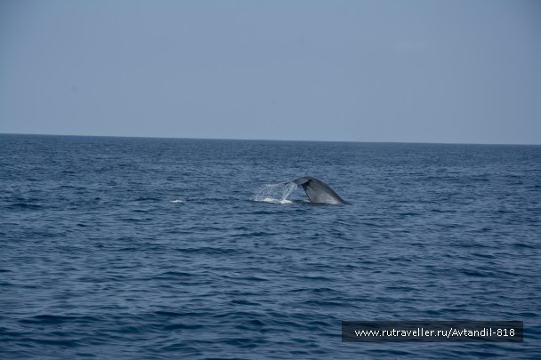 photo 879618
