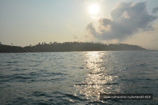 photo 879620