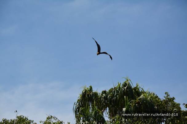 photo 879640