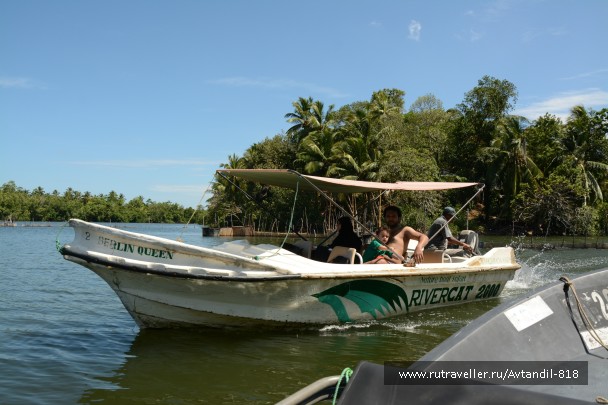 photo 879642