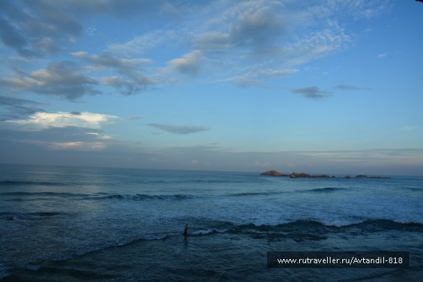 photo 879645