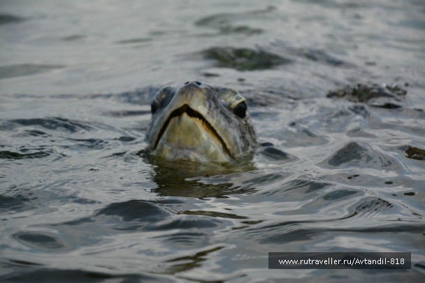 photo 879649