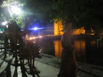photo 1402074