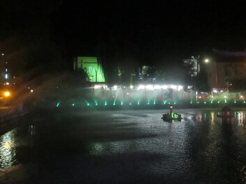 photo 1402078