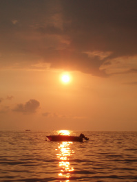 photo 411453