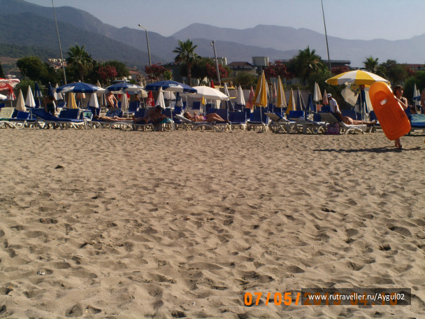 photo 443591
