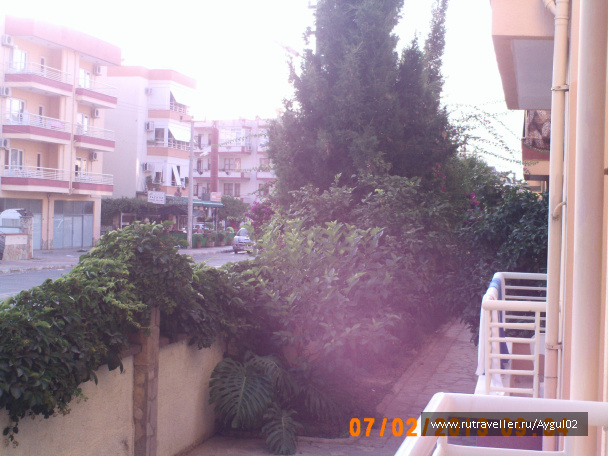photo 443601