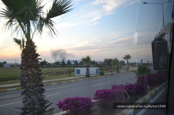 photo 775118