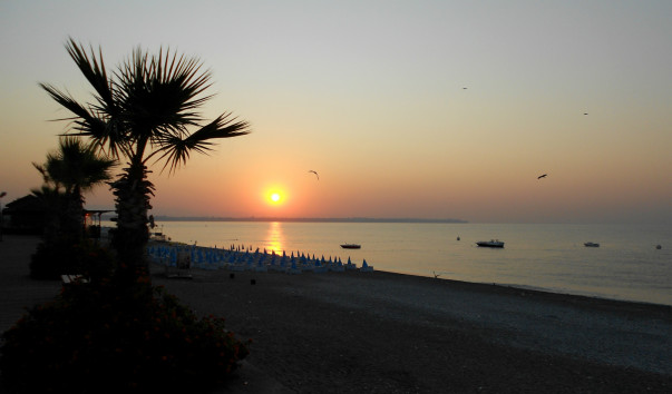 DSCN0253_