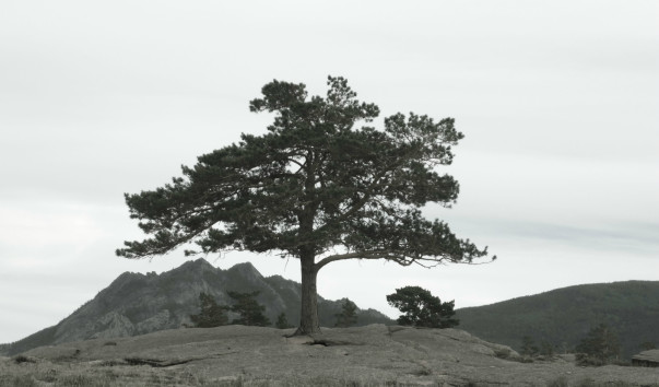 P1020280__