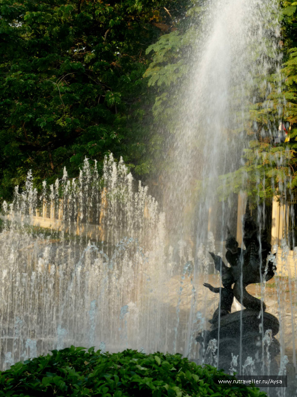 photo 210875