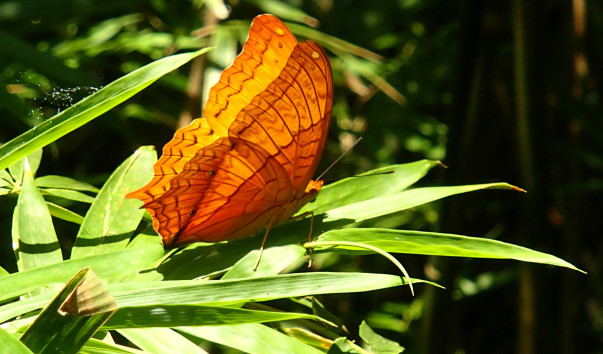 P4102550_