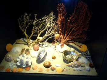 photo 340645