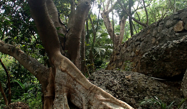 P4012093